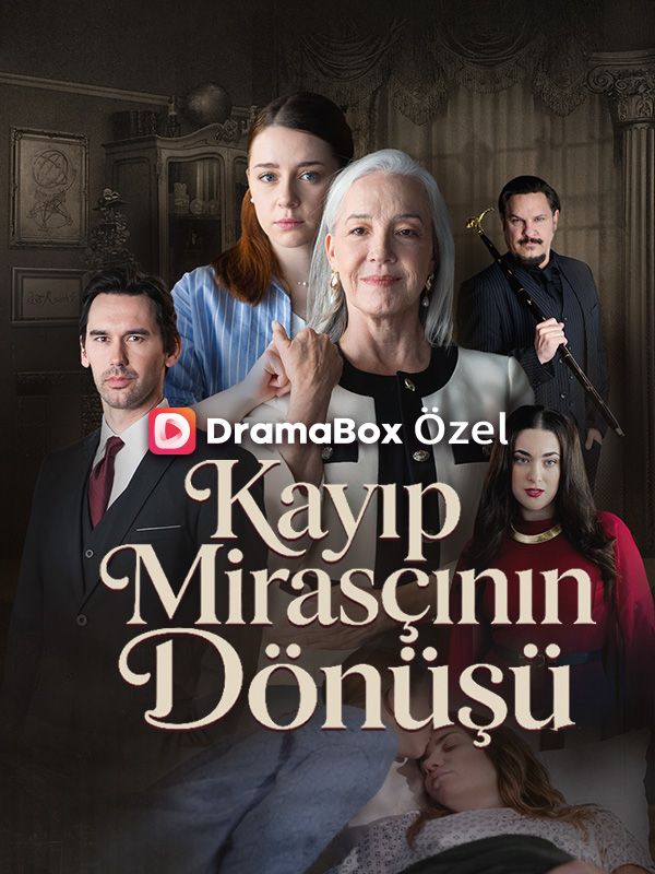 Kayıp Mirasçının Dönüşü afişi