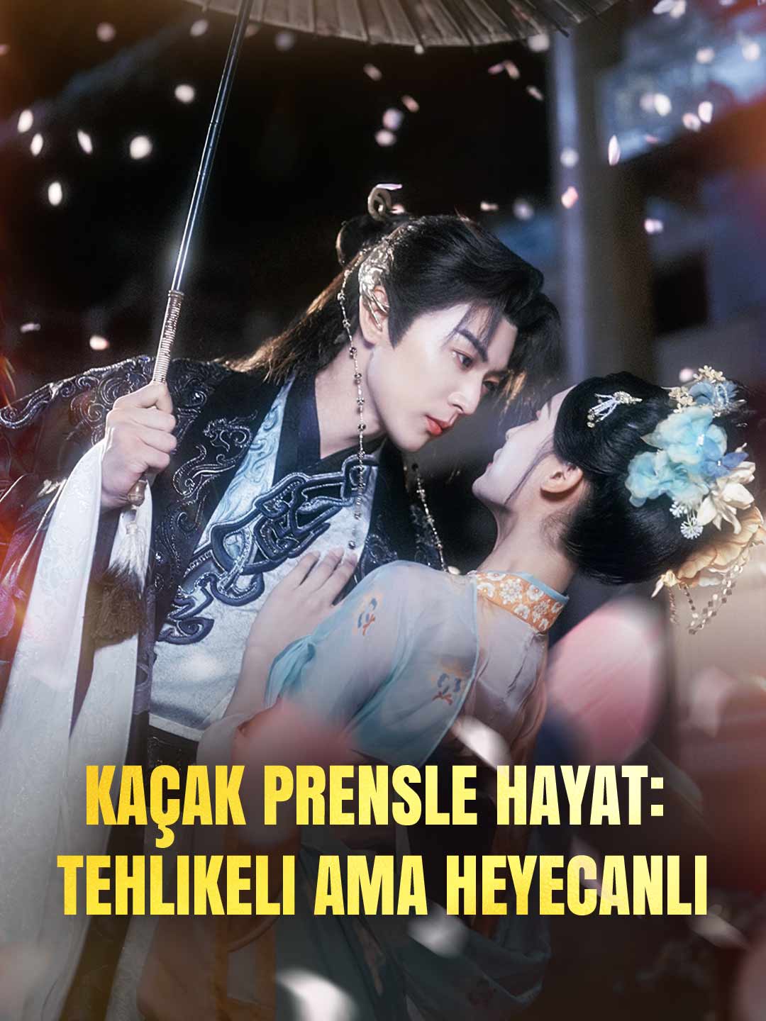 Kaçak Prensle Hayat: Tehlikeli Ama Heyecanlı afişi