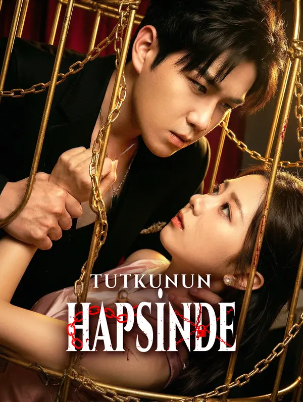 Tutkunun Hapsinde afişi